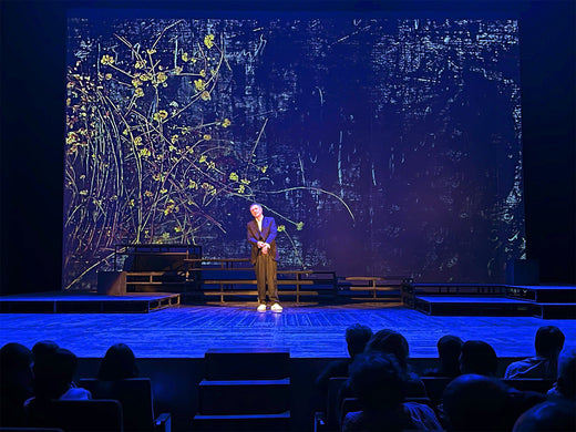 Stage Design for Vardan Petrosyan